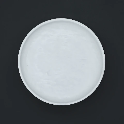 پیش دستی 20 سانت ملامین مدلن رستورانی فده گروپ پیش دستی 20 سانت ملامین مدلن رستورانی فده گروپ