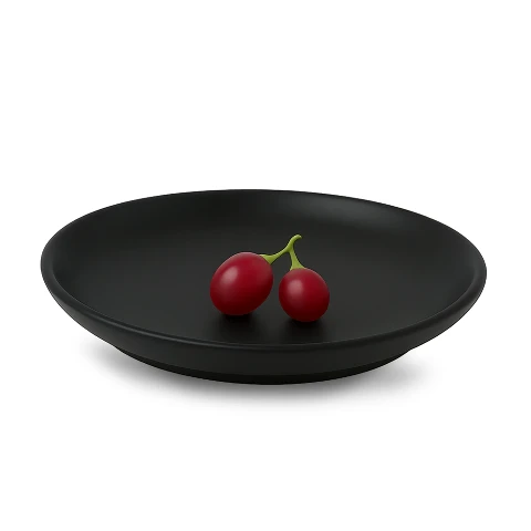 پیش دستی 20 سانت ملامین مدلن رستورانی فده گروپ پیش دستی 20 سانت ملامین مدلن رستورانی فده گروپ