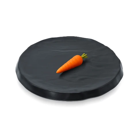 دیس 35 سانتی ملامین روچر رستورانی فده گروپ