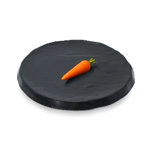 دیس 35 سانتی ملامین روچر رستورانی فده گروپ