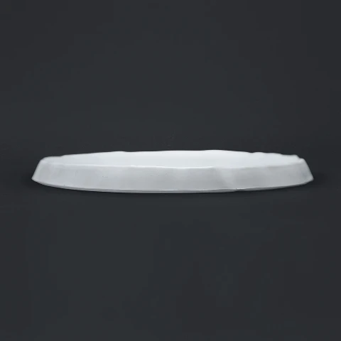 بشقاب 25 سانتی ملامین روچر رستورانی فده گروپ