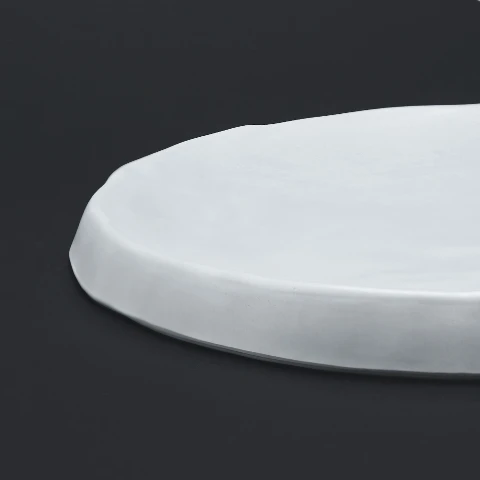 بشقاب 25 سانتی ملامین روچر رستورانی فده گروپ